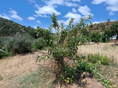 Monte alentejano com terreno e infraestruturas – são barnabé, almodôvar