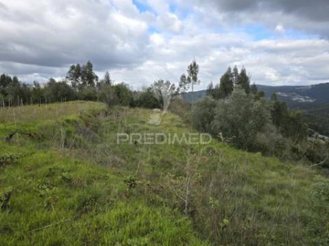 Terreno rústico vinha vale cabras almalaguês coimbra