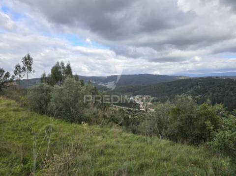 Terreno rústico vinha vale cabras almalaguês coimbra