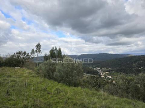 Terreno rústico vinha vale cabras almalaguês coimbra