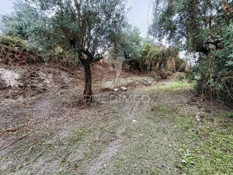 Moradia para restauro