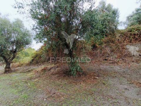 Moradia para restauro