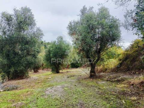 Moradia para restauro