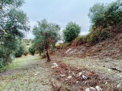 Moradia para restauro