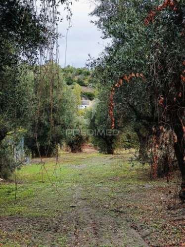 Moradia para restauro