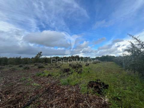 Terreno rústico na lagoinha, em palmela