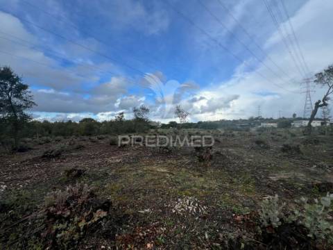 Terreno rústico na lagoinha, em palmela