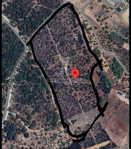 Terreno rústico na lagoinha, em palmela