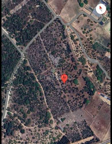 Terreno rústico na lagoinha, em palmela