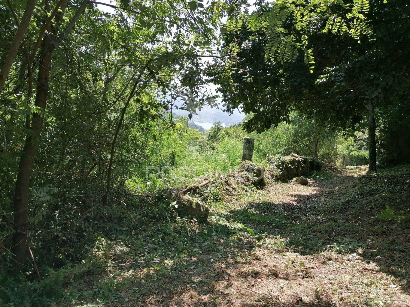 Terreno para construção com vistas para o rio douro