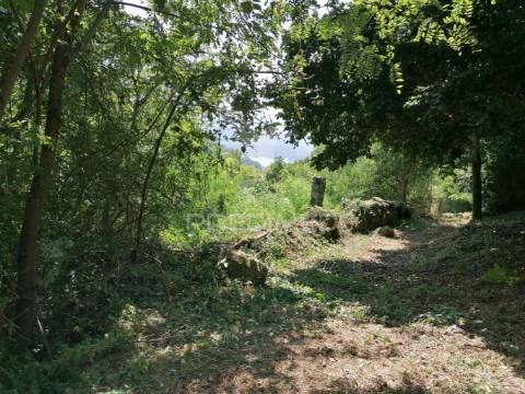 Terreno para construção com vistas para o rio douro