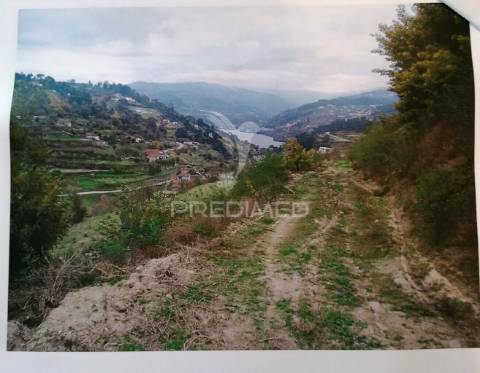 Terreno para construção com vistas para o rio douro