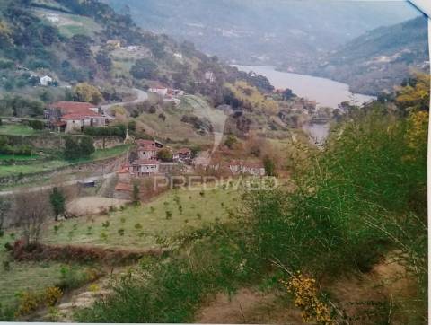 Terreno para construção com vistas para o rio douro