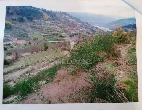 Terreno para construção com vistas para o rio douro