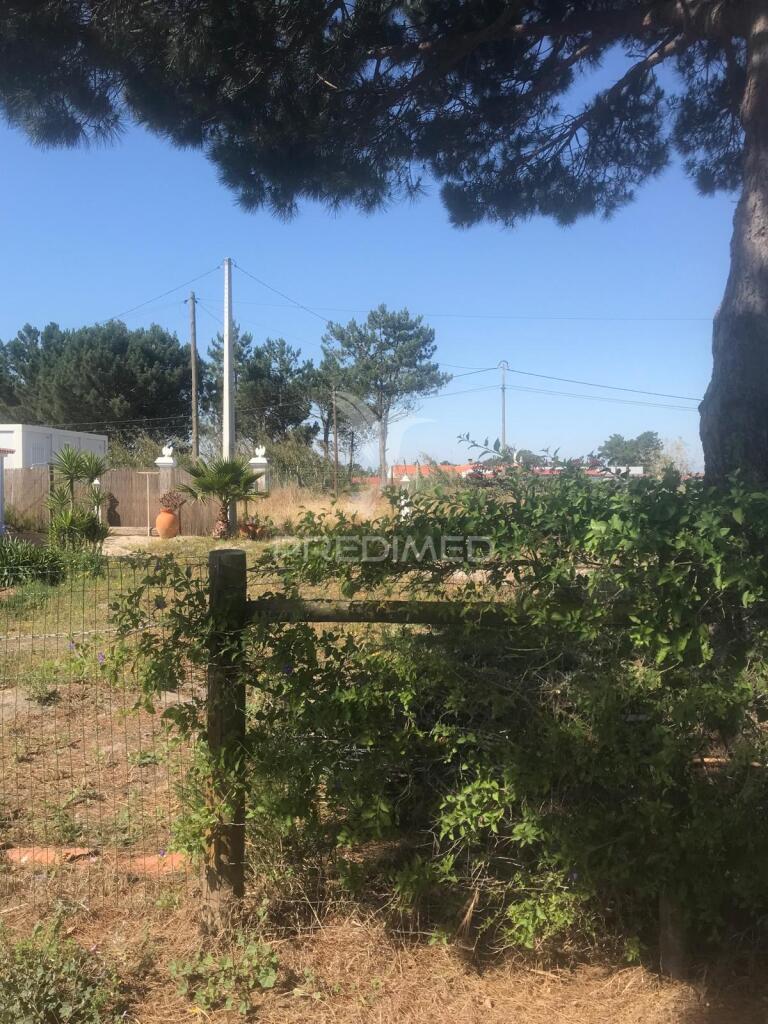 Terreno rústico/ urbano - vila nova de mil fontes