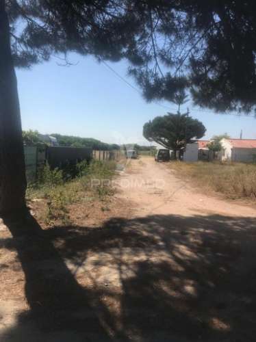 Terreno rústico/ urbano - vila nova de mil fontes