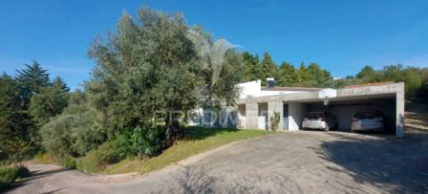 Moradia t4 com garagem,terreno e olival, moçarria, santarém.