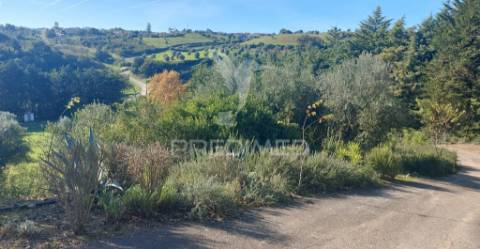 Moradia t4 com garagem,terreno e olival, moçarria, santarém.