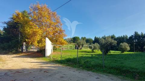 Moradia t4 com garagem,terreno e olival, moçarria, santarém.