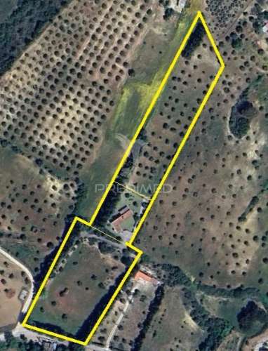 Moradia t4 com garagem,terreno e olival, moçarria, santarém.