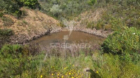 Quinta, monte corvo, estiveiras - são marcos da serra, algarve
