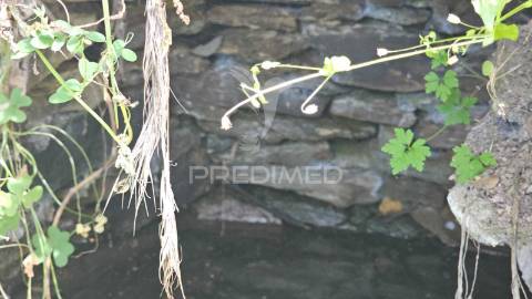 Quinta, monte corvo, estiveiras - são marcos da serra, algarve