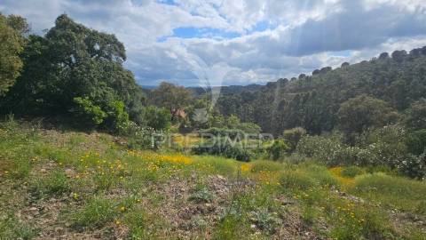 Quinta, monte corvo, estiveiras - são marcos da serra, algarve