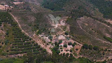 Quinta, monte corvo, estiveiras - são marcos da serra, algarve