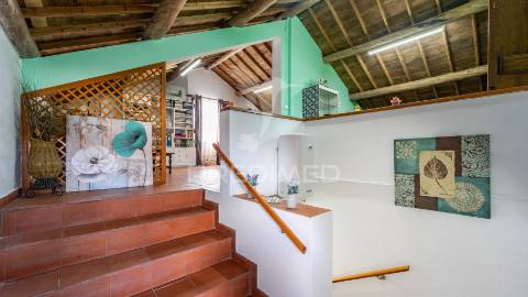 Quinta em são mateus