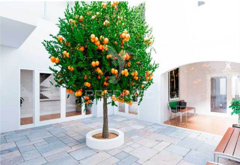 Apartamento t2 em edifício pombalino, centro.