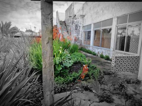 Excelente moradia no alentejo