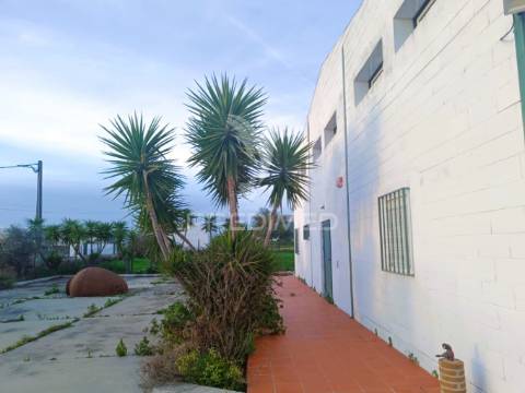 Armazém industrial equipado para pastelaria/panificação - montoito