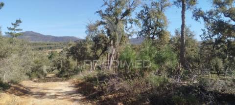 Terreno com ruína em santiago do cacém