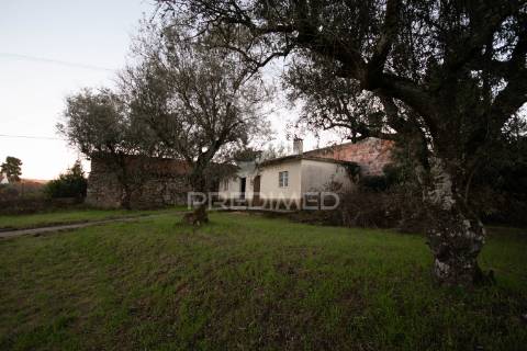 Moradia t3 com terreno de 660 m² na ratoeira – celorico da beira