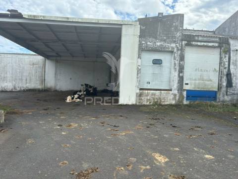 Armazém praia da vitória