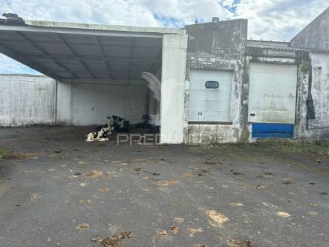 Armazém praia da vitória