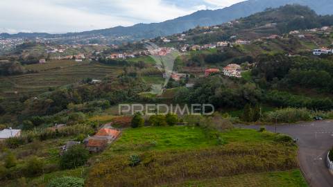 Terreno em são jorge – uma oportunidade no norte da madeira