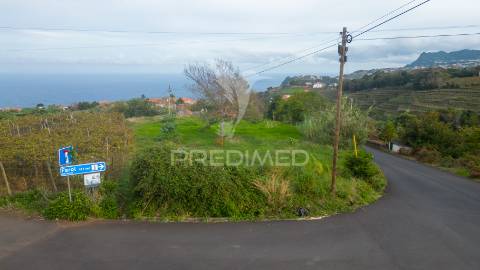 Terreno em são jorge – uma oportunidade no norte da madeira