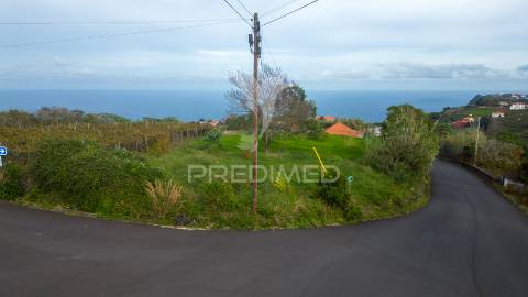 Terreno em são jorge – uma oportunidade no norte da madeira