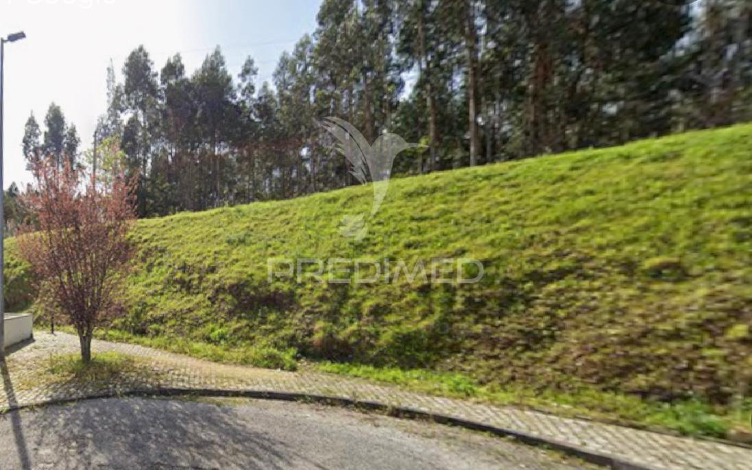 Vende-se terreno rústico com 2900m² – crestuma