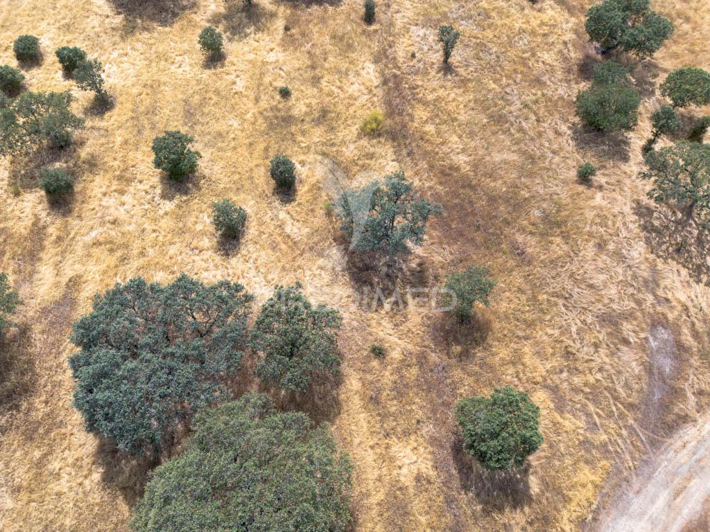 Terreno rústico de 9,975 hectares à venda, capelins