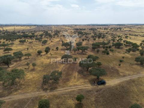 Terreno rústico de 9,975 hectares à venda, capelins