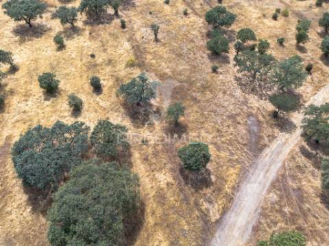 Terreno rústico de 9,975 hectares à venda, capelins