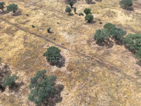 Terreno rústico de 9,975 hectares à venda, capelins