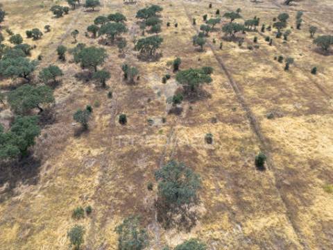 Terreno rústico de 9,975 hectares à venda, capelins