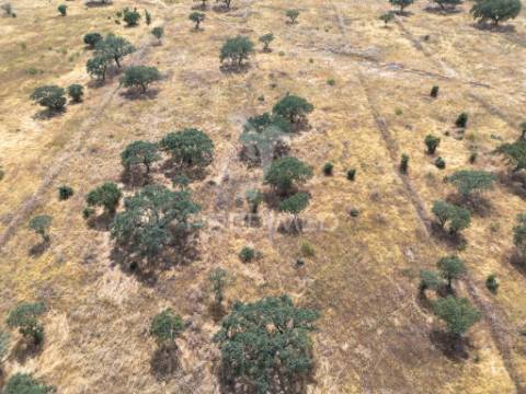 Terreno rústico de 9,975 hectares à venda, capelins