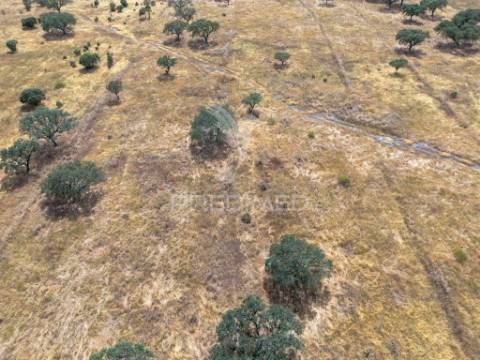 Terreno rústico de 9,975 hectares à venda, capelins