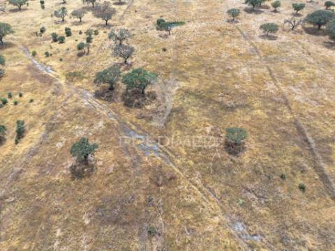 Terreno rústico de 9,975 hectares à venda, capelins