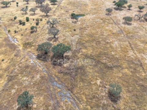 Terreno rústico de 9,975 hectares à venda, capelins