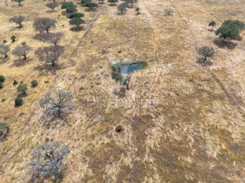 Terreno rústico de 9,975 hectares à venda, capelins